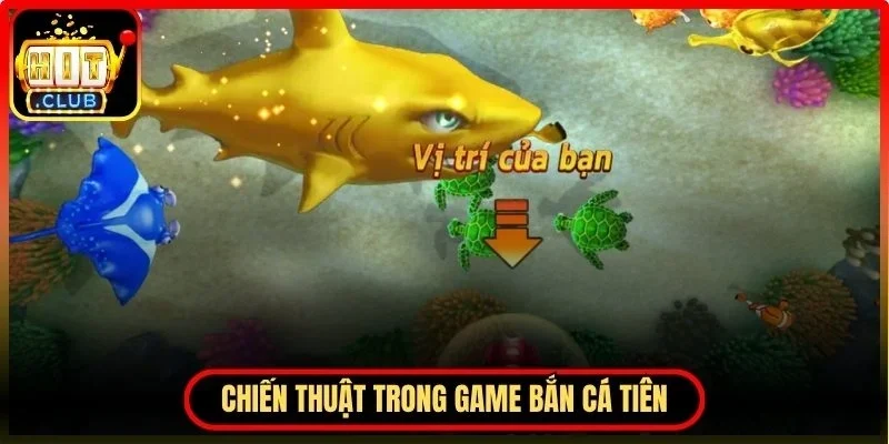 Bắn Cá Tiên Hitclub – Mẹo Chơi Hiệu Quả Giúp Tối Ưu Vốn 4 Hitclub Chiến thuật trong bắn cá tiên