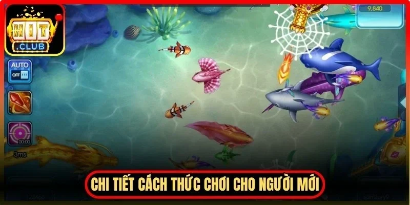 Bắn Cá Xu Vàng 777 Hitclub - Khung Đổi Thưởng Hấp Dẫn 4 Hitclub Chi tiết cách thức chơi cho người mới và kinh nghiệm nâng cao
